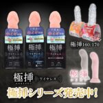 極挿　シリーズ