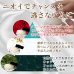 DOCTOR MAGIC オナケアプラス ウッディ ニオイでチャンスを逃さない