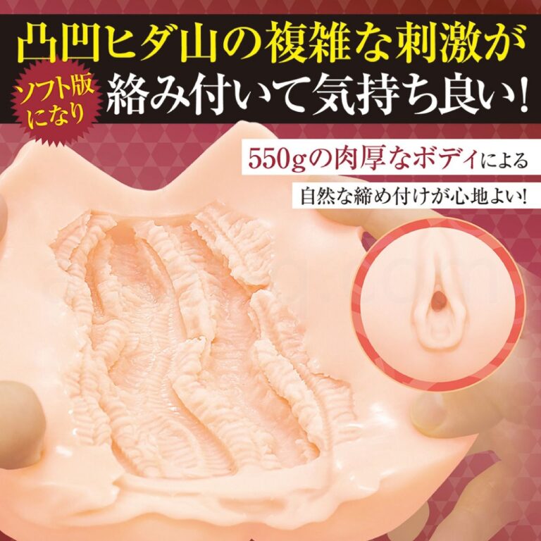 私は肉便器メイドになると奴隷誓約書にサインしました。ソフト　内部構造