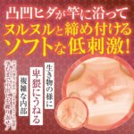 私は肉便器メイドになると奴隷誓約書にサインしました。ソフト　ソフトな低刺激！