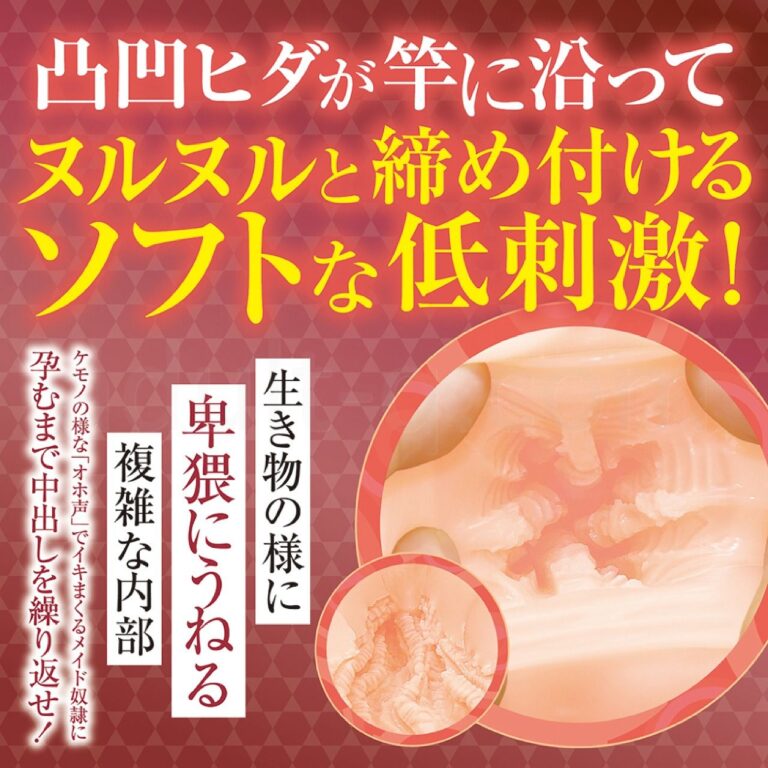 私は肉便器メイドになると奴隷誓約書にサインしました。ソフト　ソフトな低刺激！