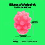 MENS MAX キュット プラスウェッチ パンチ　サイズ