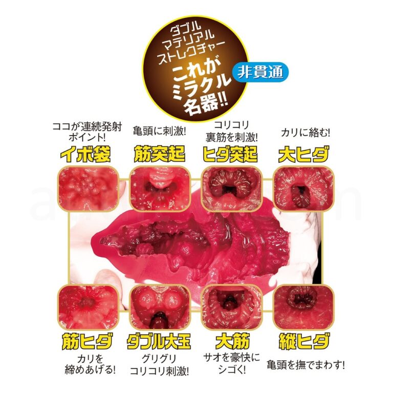 名器の証明ファイル No.012 電動タイプ 深田えいみ　内部構造