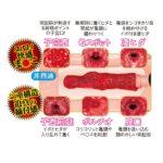 名器の証明ファイル No.013 電動タイプ 田中レモン 内部構造