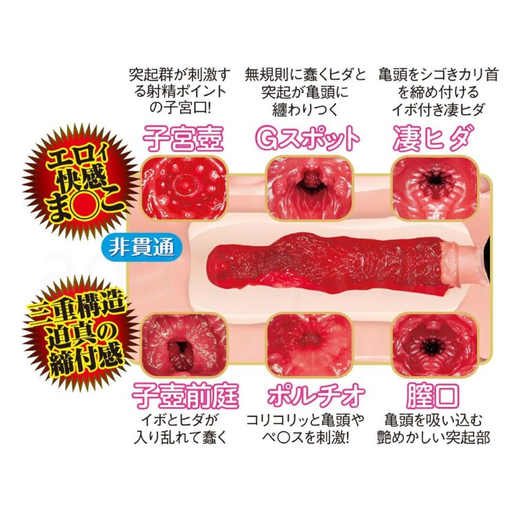名器の証明ファイル No.013 電動タイプ 田中レモン 内部構造