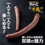 みちのく双龍 シリーズ