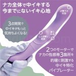 LADY IN　２つのモーターで３個所を刺激する