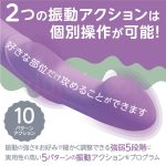 LADY IN　2か所別々の振動アクション