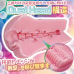 ももわれ 内部構造
