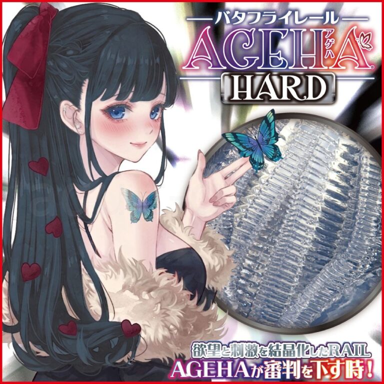 バタフライレールAGEHAハード　イメージ